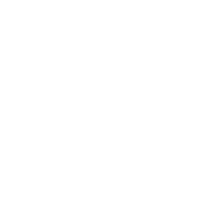 SoG_negativ_Web-289x300